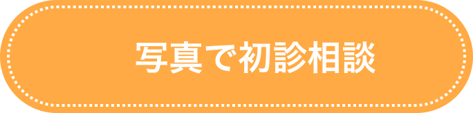 写真で初診相談